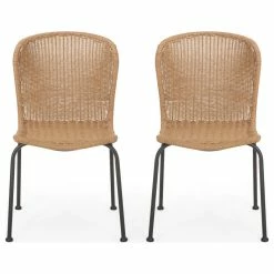 Buy 😉 GDFStudio Lampman Outdoor Boho Wicker Dining Chair, Set Of 2, Light Brown/Black 🥰