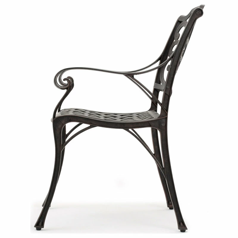 Buy 🔥 GDFStudio GDF Studio Fonzo Outdoor Bronze Cast Aluminum Dining Chairs, Set Of 2 🎁 - Image 8